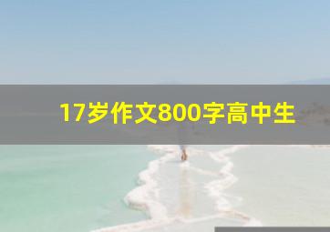 17岁作文800字高中生