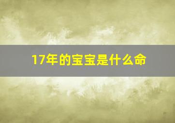 17年的宝宝是什么命