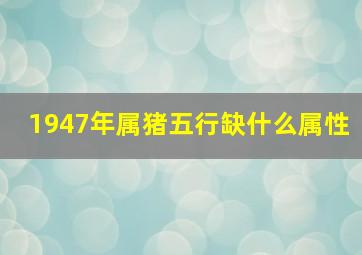 1947年属猪五行缺什么属性