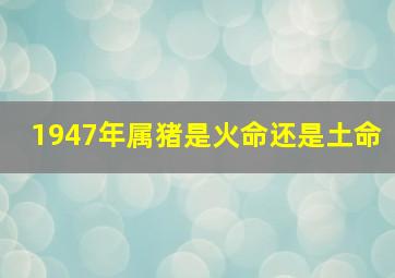 1947年属猪是火命还是土命