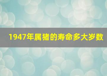 1947年属猪的寿命多大岁数