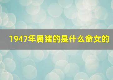 1947年属猪的是什么命女的