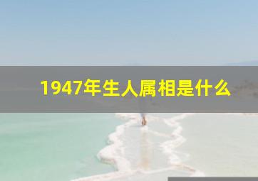 1947年生人属相是什么