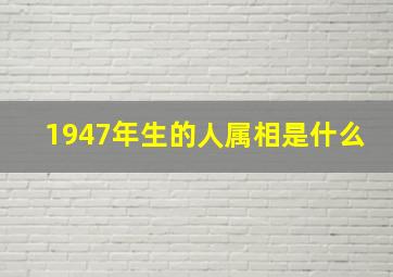 1947年生的人属相是什么