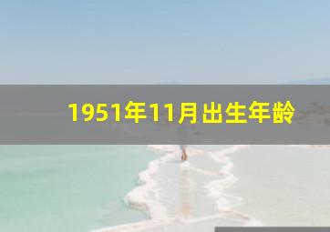 1951年11月出生年龄