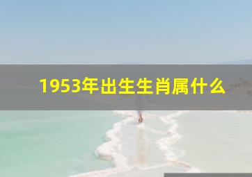 1953年出生生肖属什么