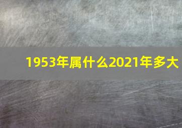 1953年属什么2021年多大