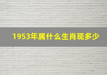 1953年属什么生肖现多少