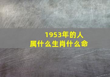 1953年的人属什么生肖什么命