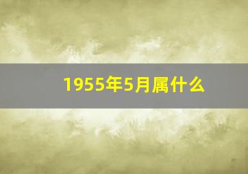 1955年5月属什么