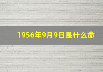 1956年9月9日是什么命