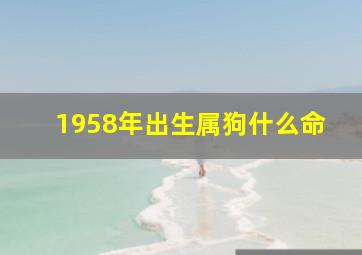 1958年出生属狗什么命