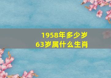 1958年多少岁63岁属什么生肖