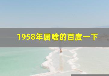 1958年属啥的百度一下