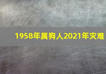 1958年属狗人2021年灾难