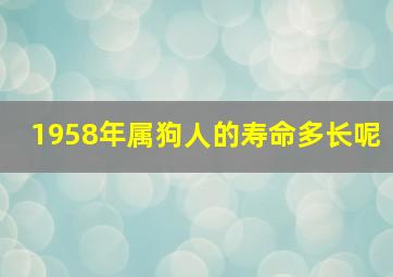 1958年属狗人的寿命多长呢