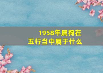 1958年属狗在五行当中属于什么