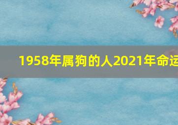 1958年属狗的人2021年命运