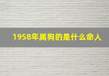 1958年属狗的是什么命人