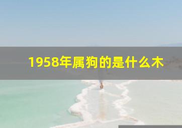 1958年属狗的是什么木