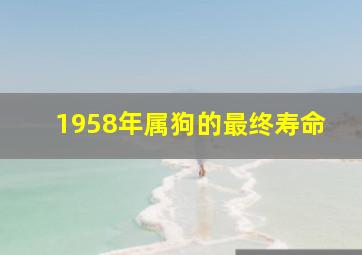 1958年属狗的最终寿命