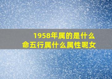 1958年属的是什么命五行属什么属性呢女