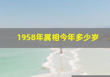 1958年属相今年多少岁