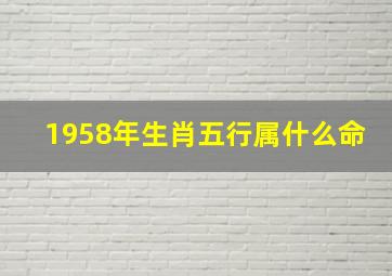 1958年生肖五行属什么命