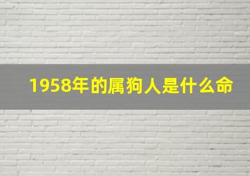 1958年的属狗人是什么命