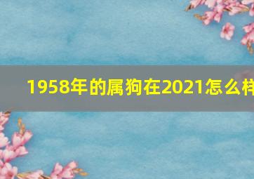 1958年的属狗在2021怎么样