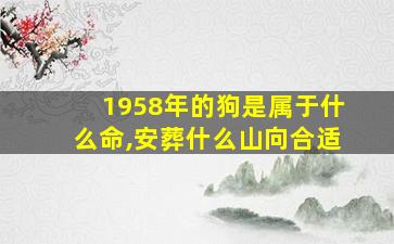 1958年的狗是属于什么命,安葬什么山向合适