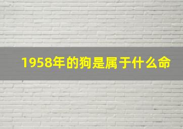 1958年的狗是属于什么命