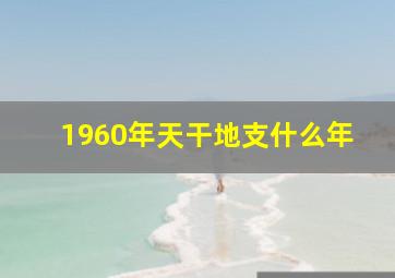 1960年天干地支什么年