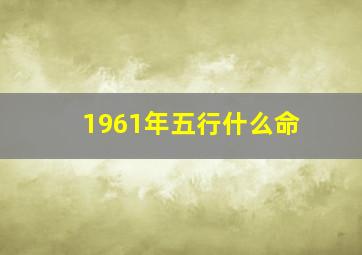 1961年五行什么命