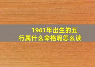 1961年出生的五行属什么命格呢怎么读