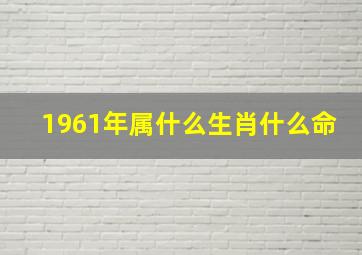 1961年属什么生肖什么命