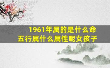 1961年属的是什么命五行属什么属性呢女孩子