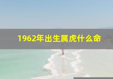 1962年出生属虎什么命