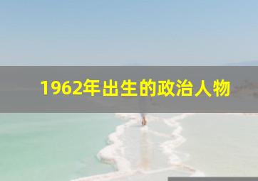 1962年出生的政治人物