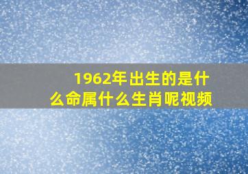 1962年出生的是什么命属什么生肖呢视频