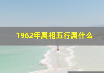 1962年属相五行属什么