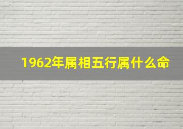 1962年属相五行属什么命