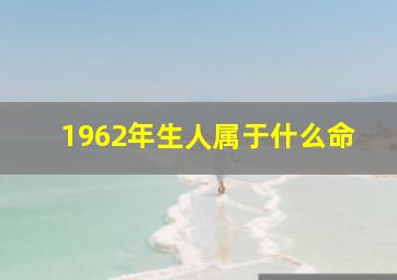 1962年生人属于什么命