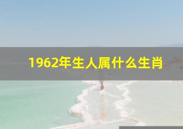 1962年生人属什么生肖