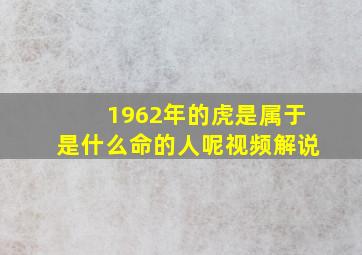 1962年的虎是属于是什么命的人呢视频解说