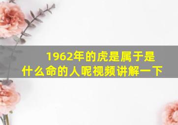 1962年的虎是属于是什么命的人呢视频讲解一下