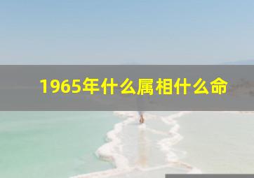 1965年什么属相什么命