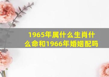 1965年属什么生肖什么命和1966年婚姻配吗