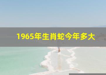 1965年生肖蛇今年多大