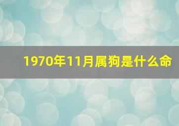 1970年11月属狗是什么命